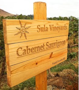 Sula Vineyard