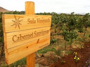Sula Vineyard