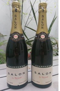 salon-1966