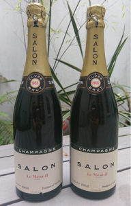 salon-1966