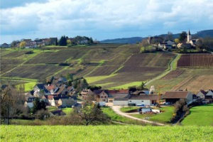 Burg