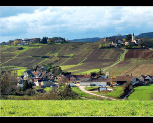 Burg
