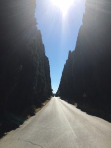 Cypress Avenue