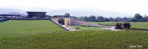 Opus One