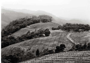 Harlan Estate